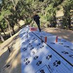 Roof Geeks - Auburn - photo 9