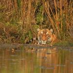 Global Holidays Adventure Pvt.Ltd - photo 10