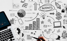 Zealite Agency - Digital Marketing