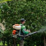 Buggify Pest Solutions - photo 3