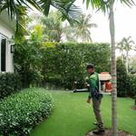 Buggify Pest Solutions - photo 4