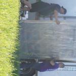Moving of America - photo 8