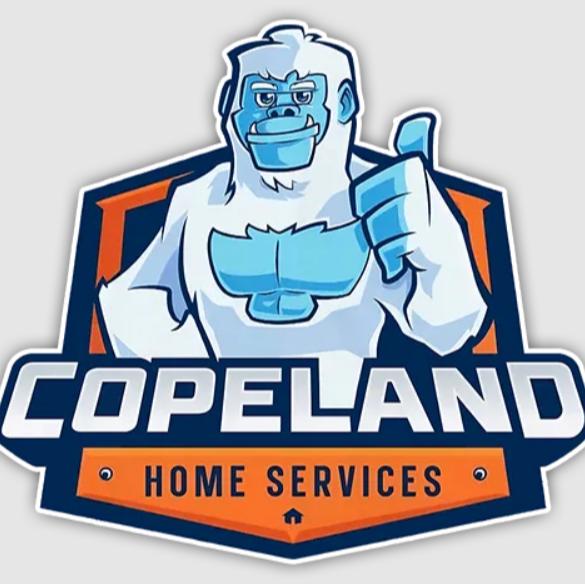 Copeland Heating Air Conditioning Plumbing and Electrical Repair Services - Plumbing