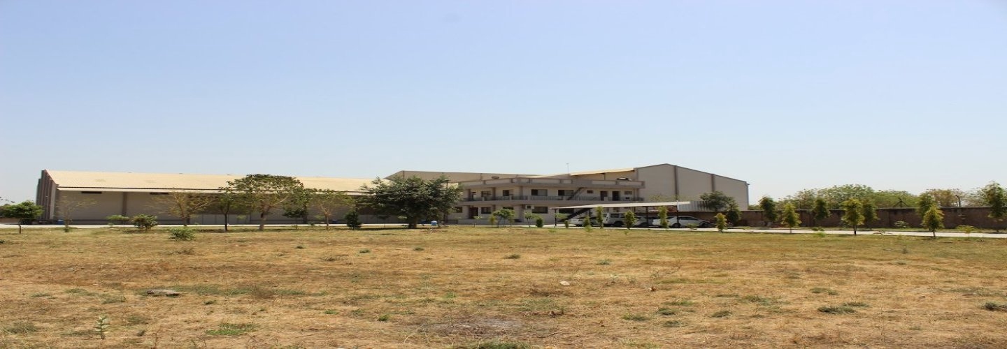 Gayatri Psyllium