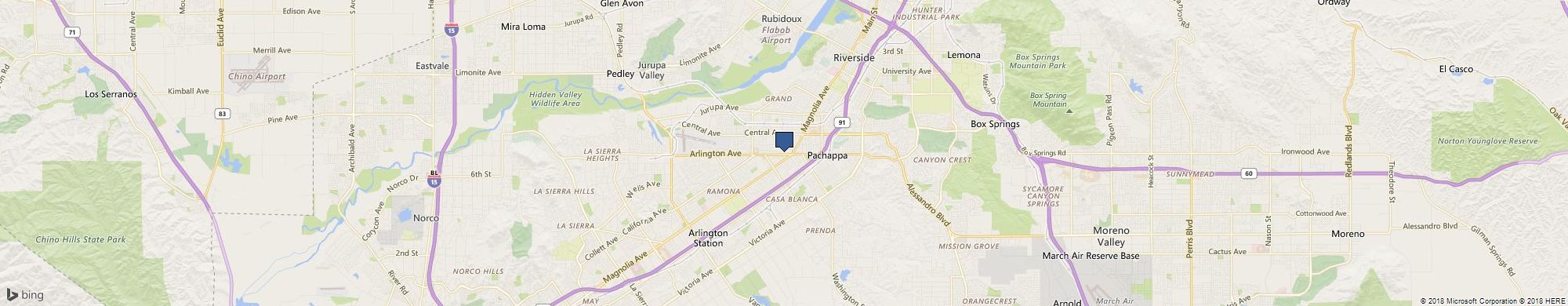 Margot Krasojevic cover photo