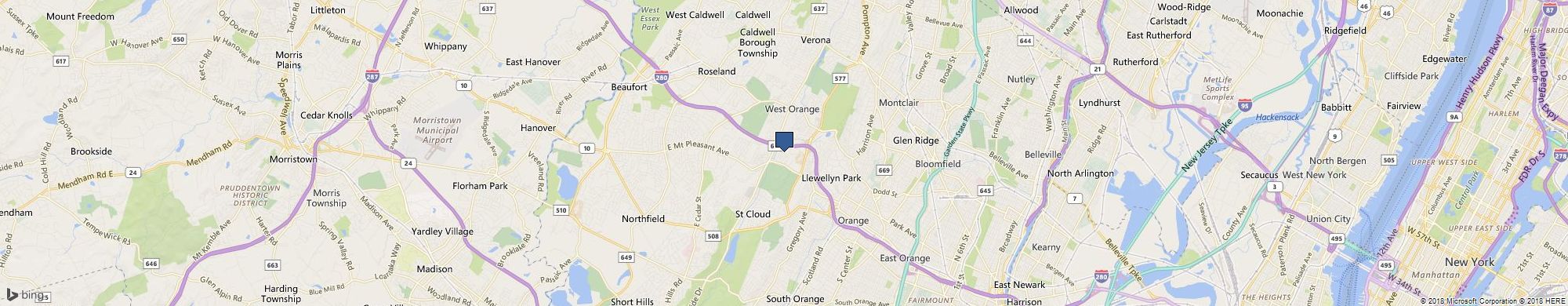 Palm Haven cover photo