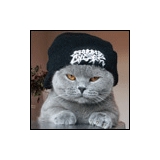Rock Your Ads-Safelist.com - Other