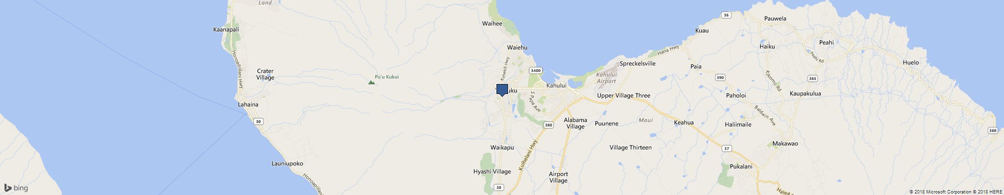 I Dig Dinos cover photo