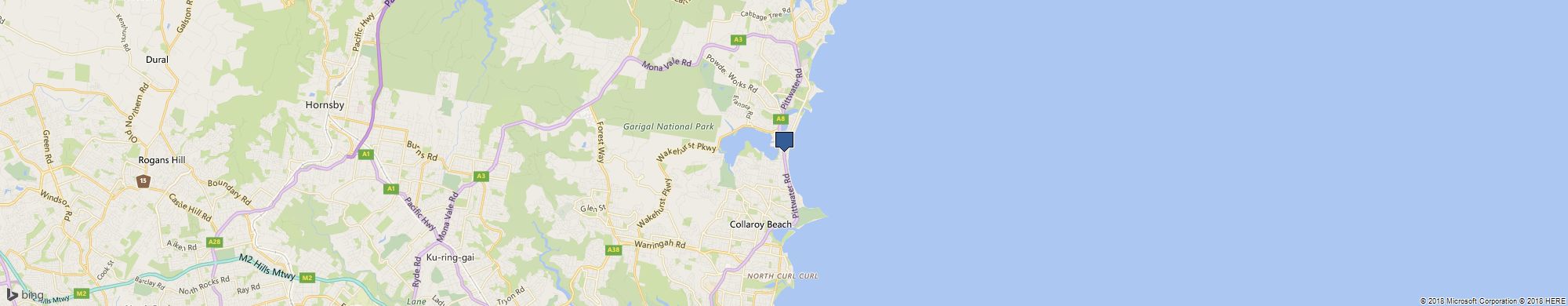 Natural Health Kinesiology cover photo