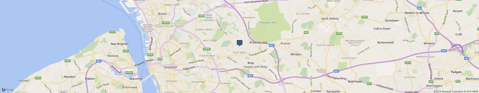 Beartree Media cover photo