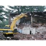 Damon Kozul - photo 2