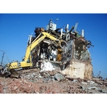 Damon Kozul - photo 6