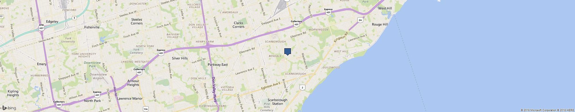 Ruth Bird cover photo