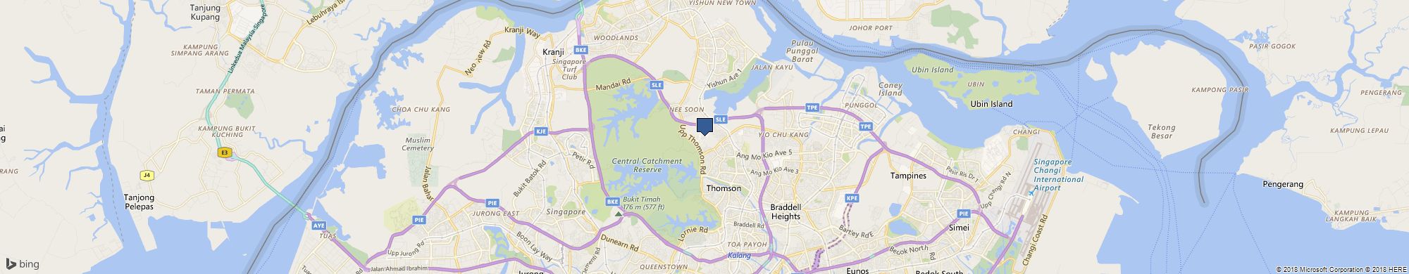 Ng Patrick cover photo