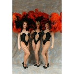 Daedalus Associates Limited - photo 2