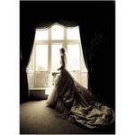 Daedalus Associates Limited - photo 5