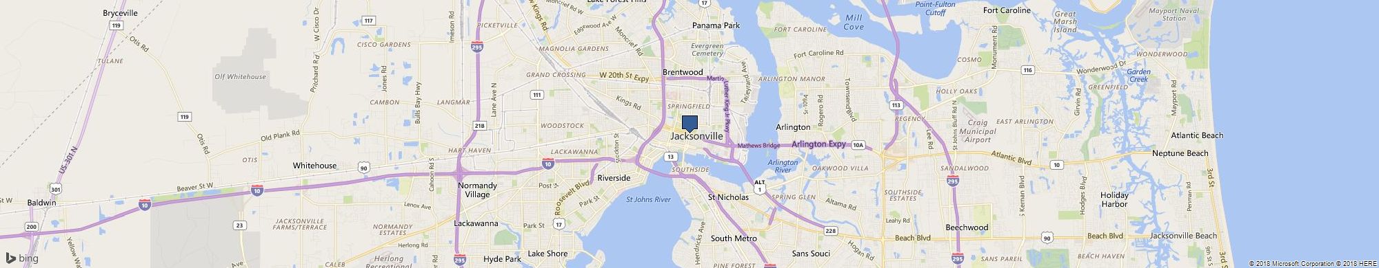 Party Animalz Stuffable Workshop cover photo