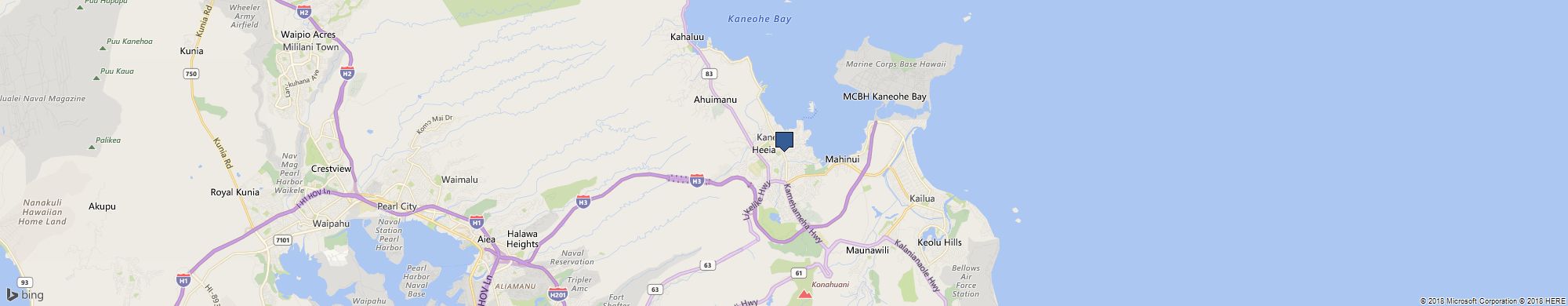 Leon C Pereira PhD cover photo