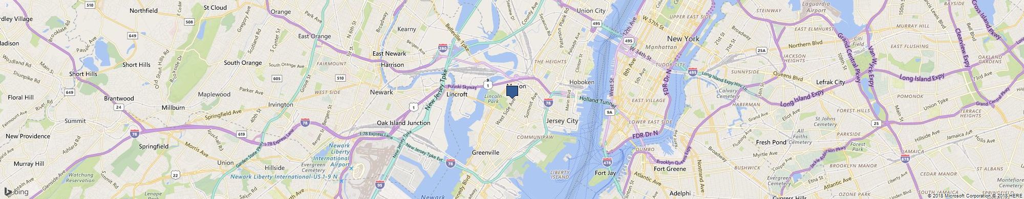 Carol Nissen cover photo