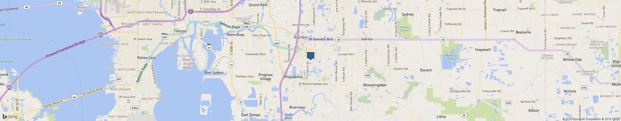 Expert Painting of Tampa Bay cover photo
