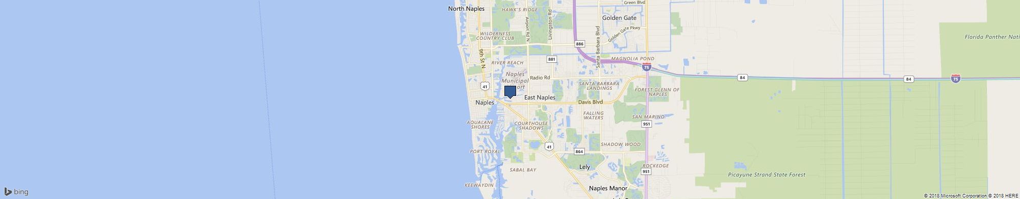 Stallion Painting cover photo