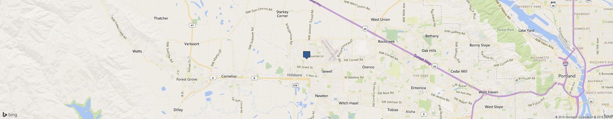 Native Son Painting cover photo