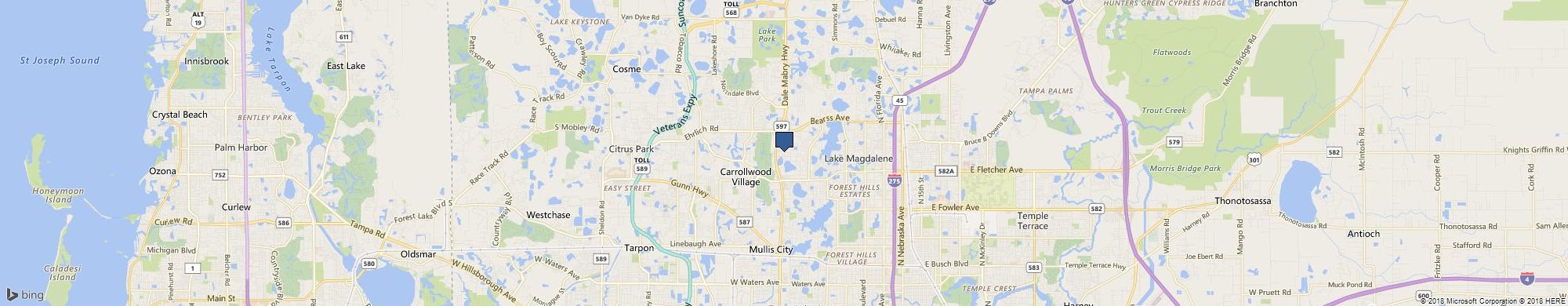 Carrollwood Movers cover photo