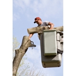 Green Thumb Tree Service Company - photo 3