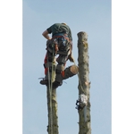 Green Thumb Tree Service Company - photo 5