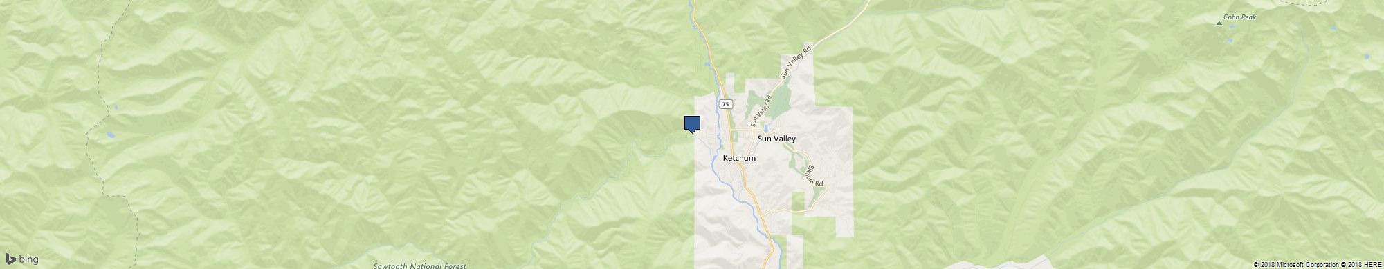 A1 Pioneer Moving & Storage cover photo