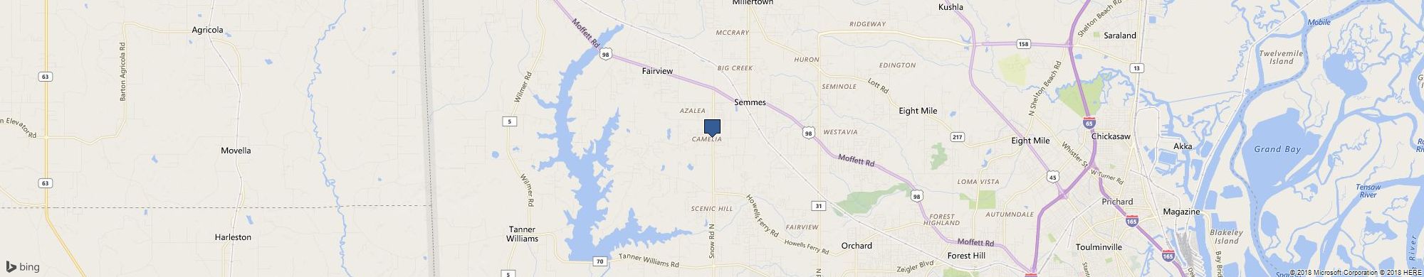 Any Tree Anywhere cover photo