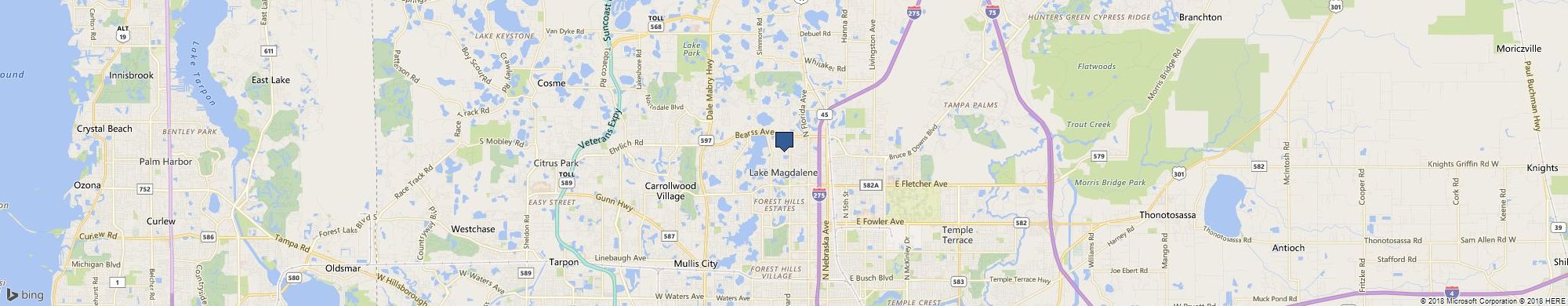 Mother and Daughter House Cleaning cover photo