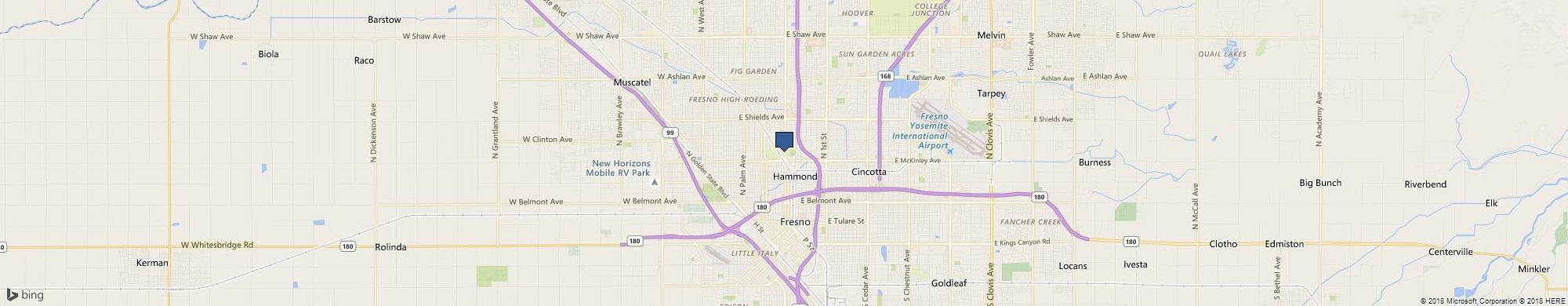 Witness Smog cover photo