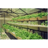 Cultivate - Other in Denver