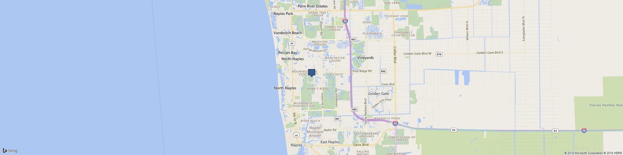 Naples Limousine Service cover photo