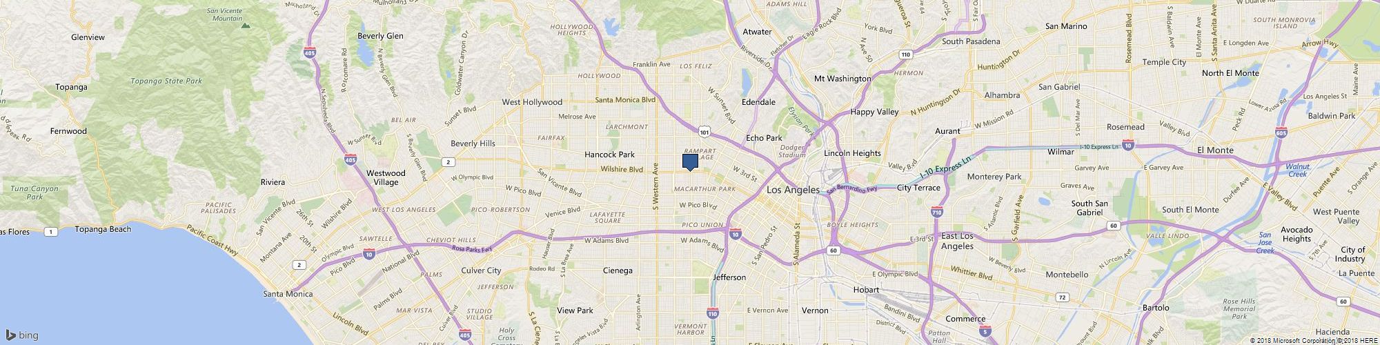 Palm Tree L.A. cover photo