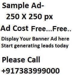 MLM Diary A Social Networking Site - photo 1