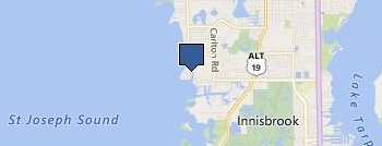 Garage Door Repair Tarpon Springs location map