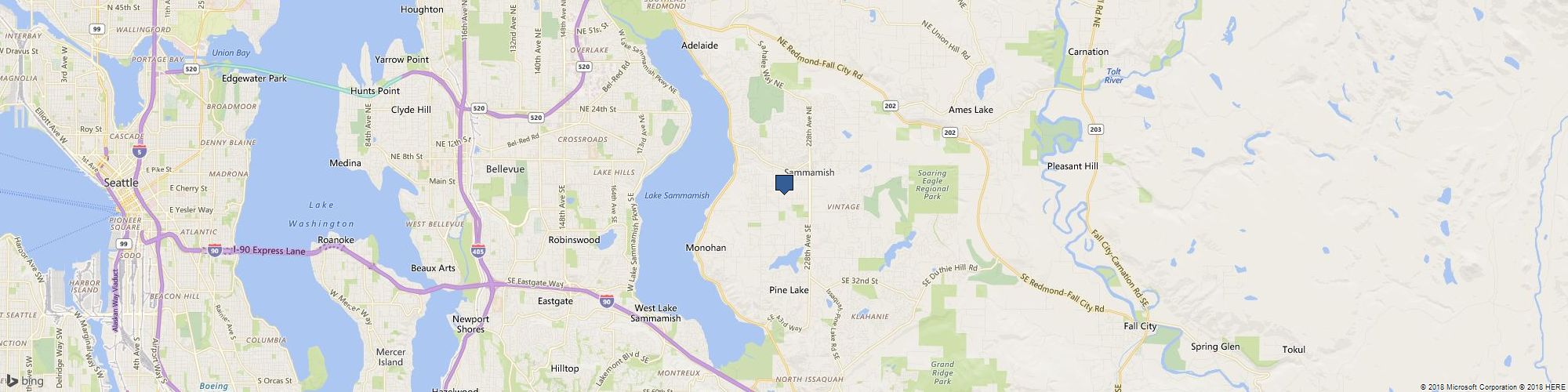 Sammamish Best Limousine Service cover photo