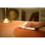 Filthy Cleaning - photo 5