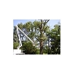 Menchhofer Tree Care - photo 1