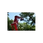 Menchhofer Tree Care - photo 2