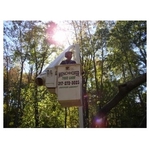 Menchhofer Tree Care - photo 3