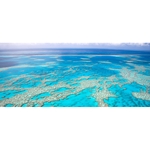 Njoy Travellers Resort - photo 4