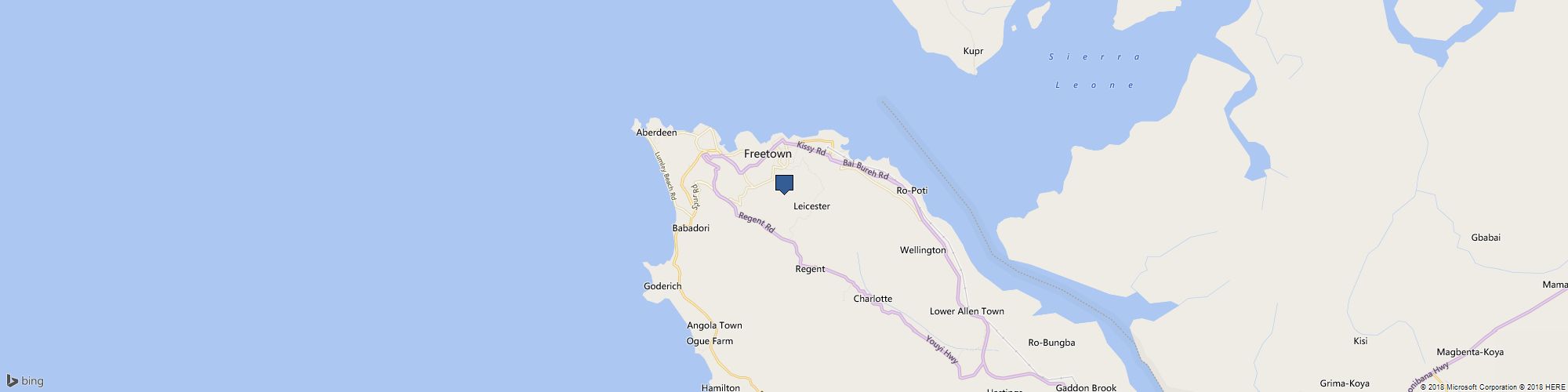 Daltons Banana Guesthouse cover photo