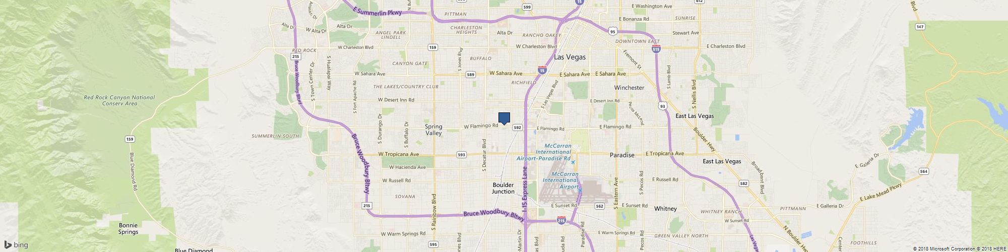 Party Las Vegas cover photo