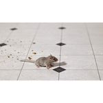 Accuracy Plus Termite and Pest Control - photo 1