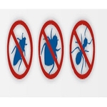 Accuracy Plus Termite and Pest Control - photo 2