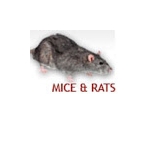 Accuracy Plus Termite and Pest Control - photo 3