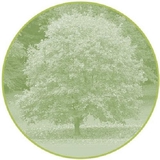 Kerry's Tree Service Inc - Other